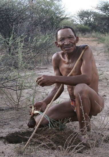 Bush tucker Africa style!