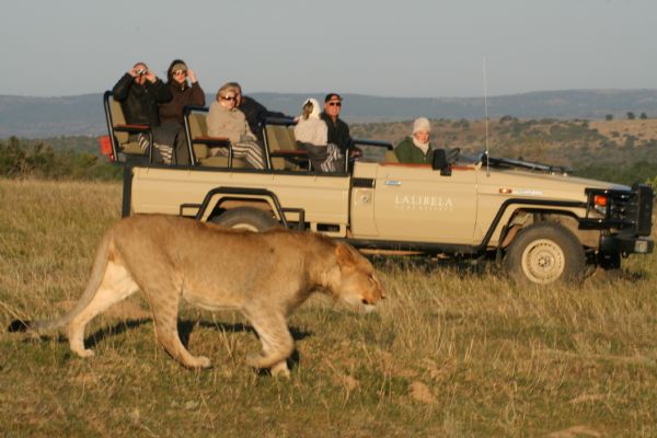 Lalibela Game Reserve