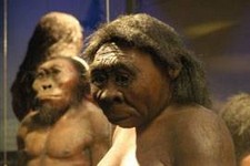 Cradle of Humankind