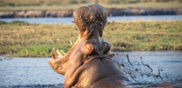 Individueel rondreizen Botswana