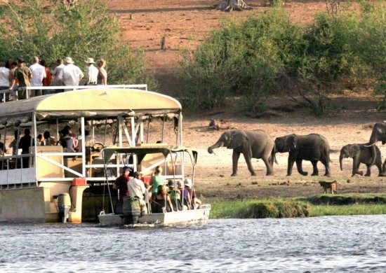 Chobe safari ldge actv Lekkerbly 8