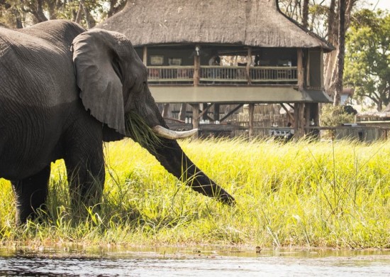 Okavango Moremi crossing Lekkerbly 4