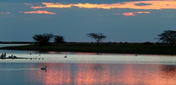 Zelf rijden Botswana