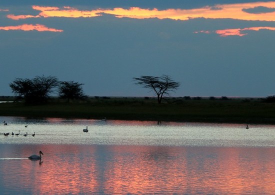 Makgadikgadi Lekkerbly 1