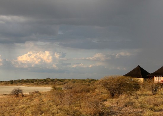 Etosha Lekkerbly 27