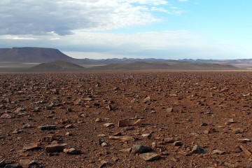 North Namib Lekkerbly 14