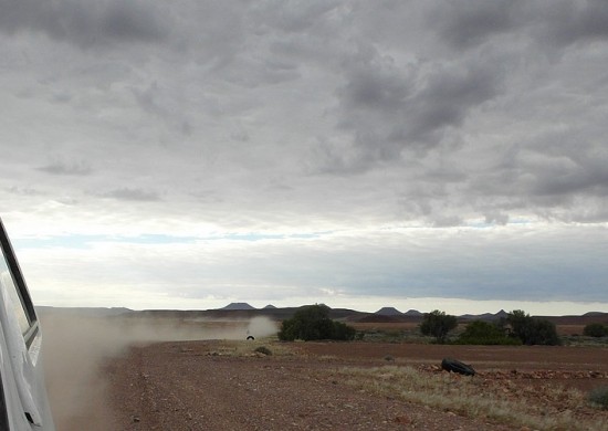 North Namib Lekkerbly 12