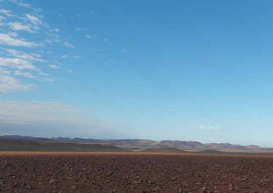 North Namib Lekkerbly 13