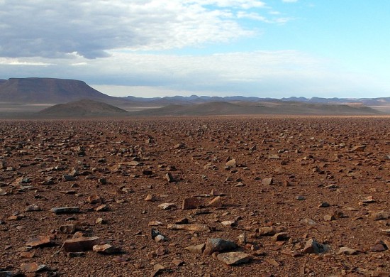 North Namib Lekkerbly 14