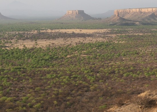 North Namib Lekkerbly 7