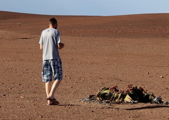 North Namib Lekkerbly 4