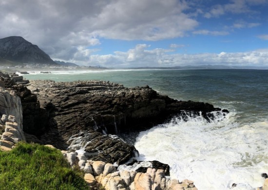 Hermanus Whale on Main Lekkerbly 1