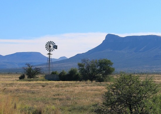 Karoo Lekkerbly 4