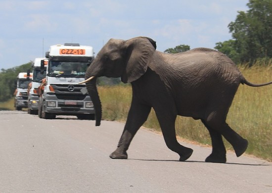 Vicfalls Lekkerbly 3