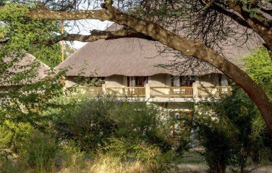 Chobe Bush Lodge