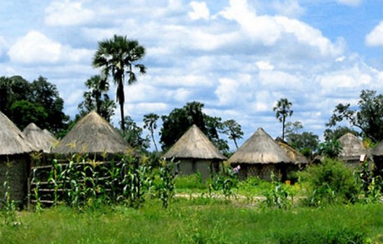 Delta Camp Okavango Delta