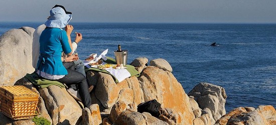 Grootbos Nature Reserve