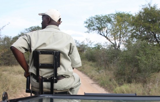 Kapama Lodge Kruger Park