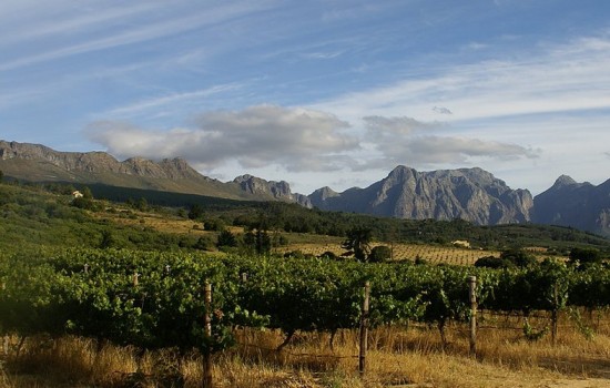 Mooi Bly Wine Estate