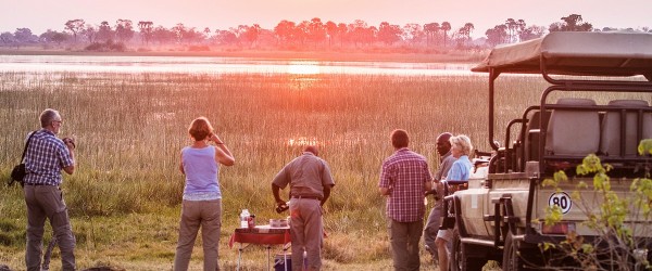 Moremi crossing long 11