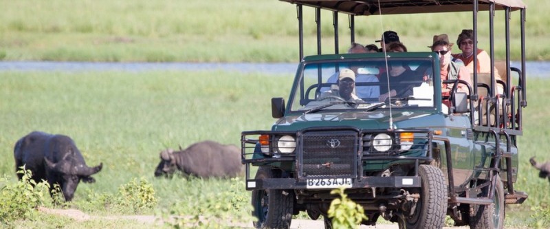 Lekkerbly Chobe 3