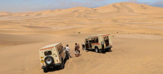 Living Desert Adventures