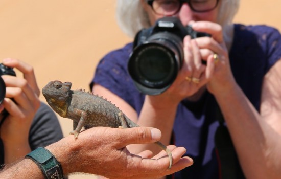 Living Desert Adventures