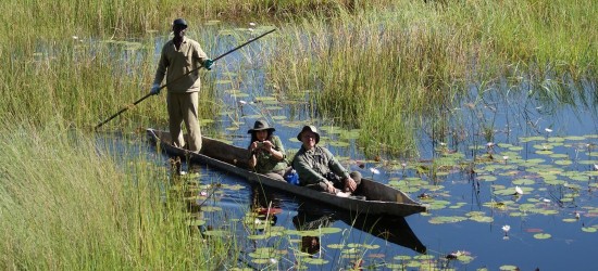 Mokoro Safaris & Trails