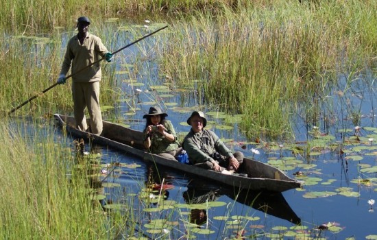 Okavango Delta Mokoro Safaris