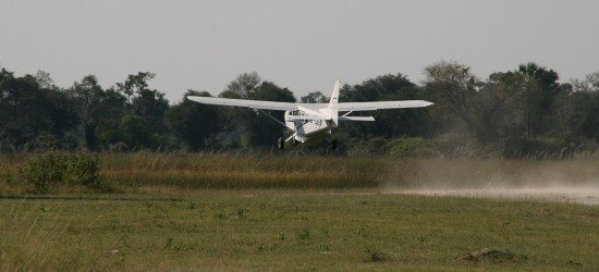 Okavango Delta Fly In Safaris
