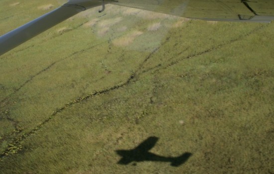 Okavango Delta Fly In Safaris