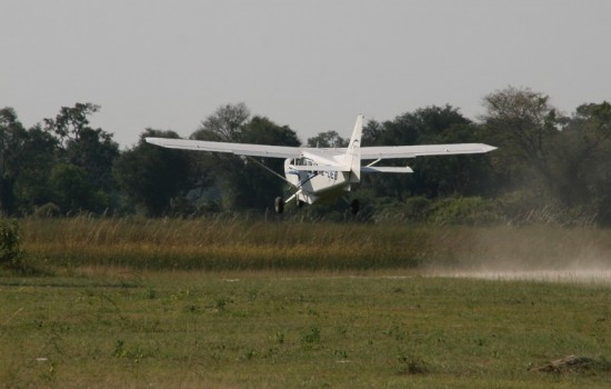 Okavango Delta Fly In Safaris
