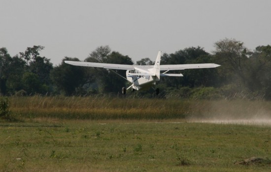 Delta Camp Okavango Delta