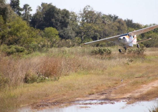 okavango flight 3