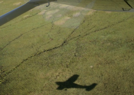 okavango flight 4