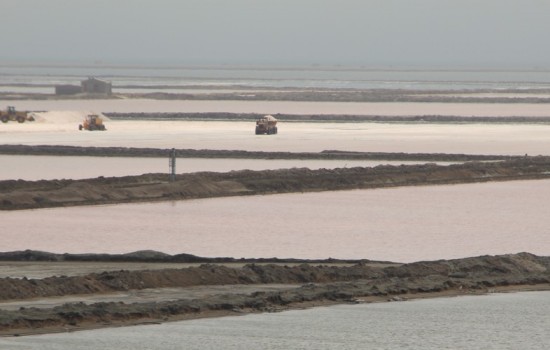 Sandwich Harbour Tour