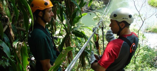 Treetop canopy tour