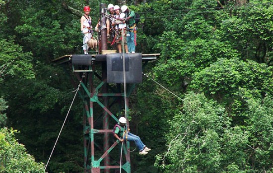 Treetop canopy tour