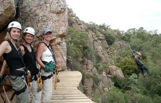 Treetop canopy tour