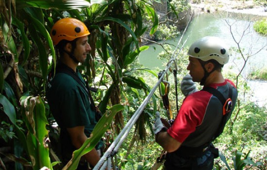 Treetop canopy tour