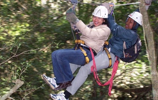 Treetop canopy tour