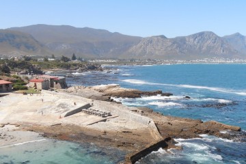 Hermanus 1