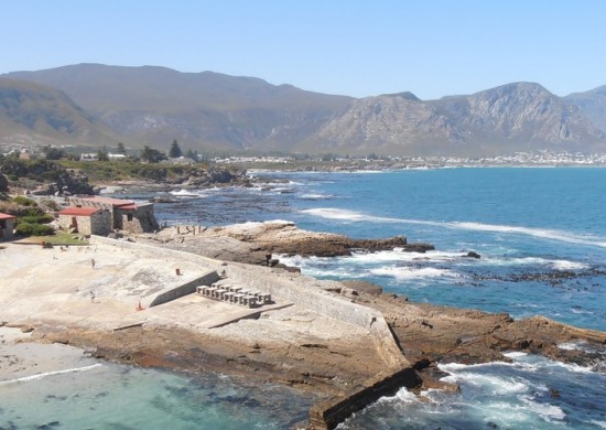 Hermanus 1