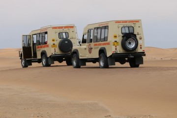 namib living desert 4