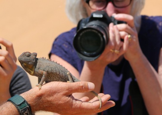 namib living desert 2