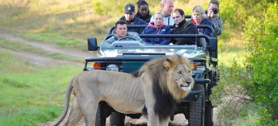 Mlilwane Wildlife Sanctuary