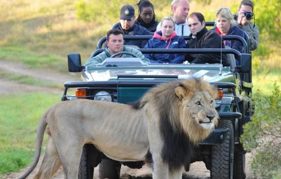 Pilanesberg Big Five Safari Dag Toer