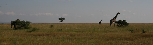 Lekkerbly 28