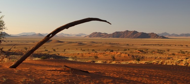 Namib Naukluft