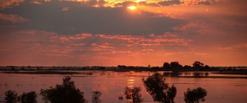 chobe sunset